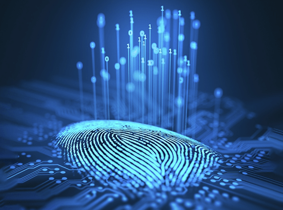 Identity and Access Management Explained